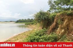 Bãi bồi sông Chu qua xã Phú Yên tiếp tục sạt lở nghiêm trọng