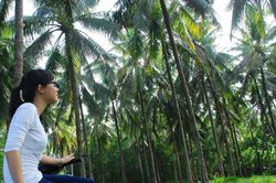 Về nơi không có nắng