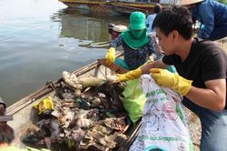Văn hóa - Nghệ thuật Văn nghệ - Âm nhạc Phát động cuộc thi sáng tác ca khúc hưởng ứng phong trào ngày Chủ nhật xanh