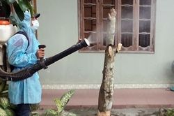 Quảng Nam ứng phó với bệnh sốt xuất huyết và sốt rét