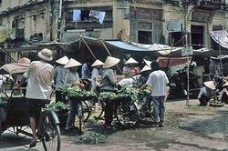 Sống chậm cuối tuần: Chầm chậm đời người
