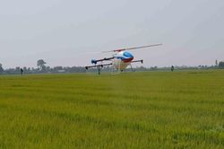 Đưa máy bay không người lái phục vụ sản xuất nông nghiệp