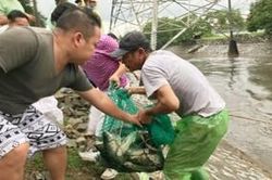 Người Hà Nội mang vó, buông cần câu ra sông đánh bắt hàng chục cân cá sau bão số 3