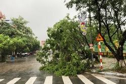 Bão số 3 suy yếu thành áp thấp trên đất liền, mưa to trên diện rộng