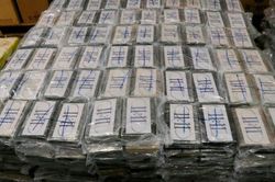 Đức thu giữ gần 5 tấn cocaine trong container đậu nành