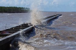 Triều cường bất thường, Cà Mau huy động lực lượng hộ đê khẩn cấp