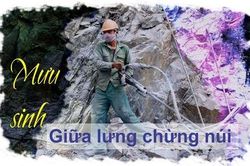 Mưu sinh giữa lưng chừng núi