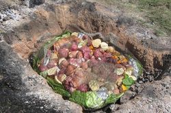 Đào hố nướng thịt bằng đá núi lửa - cách nấu ăn lưu truyền nghìn năm