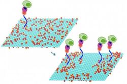 Hiệu quả của Graphene làm chất phụ gia động cơ