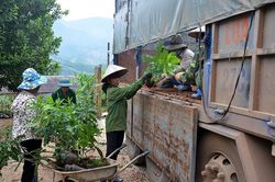 Tăng cường hỗ trợ doanh nghiệp nhỏ và vừa