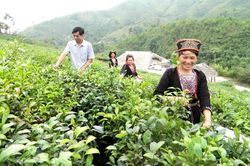 Chuyển biến trong công tác bình đẳng giới ở Bằng Cốc
