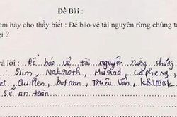 Cười nghiêng ngả với học sinh đưa tên nhân vật trò chơi vào bài kiểm tra về bảo vệ rừng