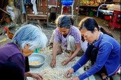 Giảm độ tuổi và khởi nghiệp cho người cao tuổi
