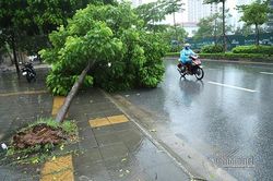 Dự báo thời tiết 6/8, Hà Nội mưa dông, đề phòng gió giật mạnh
