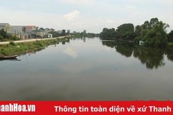 Xây dựng phương án di dân và phòng chống sự cố đê phường Quảng Châu