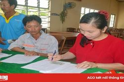 Hội Nông dân tỉnh hỗ trợ vốn cho nông dân chăn nuôi bò thịt