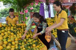 Sản phẩm bảo hộ chỉ dẫn địa lý: Cần sự hỗ trợ xứng đáng