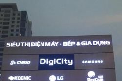 Digicity Việt Nam nợ hơn 500 triệu đồng bảo hiểm của người lao động