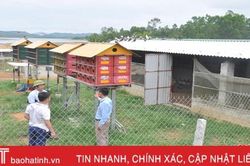 'Đột nhập' Đường Gia Trang xem lão nông Hà Tĩnh làm kinh tế HTX kiểu mới