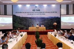 Bốn tỉnh thí điểm chi trả dịch vụ hấp thụ và lưu trữ carbon của rừng