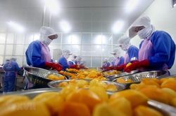 Thương chiến Mỹ-Trung tác động mạnh tới xuất khẩu của Việt Nam