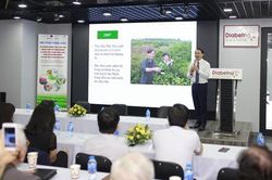 Đã tìm ra 2 hoạt chất mới giúp hạ đường huyết mạnh