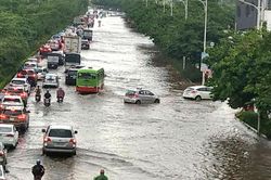 Khi đường phố biến thành... sông