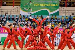 Khởi tranh vòng chung kết giải bóng đá Hội khỏe Phù Đổng Cúp Milo 2019
