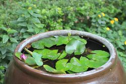 Chúng tôi sắp cưới nhưng bạn trai lại không muốn 'chuyện ấy'