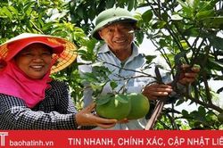 Công đoàn đỡ đầu, người dân Mai Phụ xây dựng vườn mẫu thành công