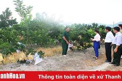 Sức lan tỏa từ phong trào 'Cựu chiến binh gương mẫu'