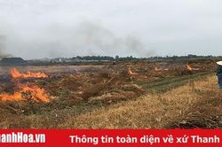 Lạm dụng thuốc 'cỏ cháy' - lợi bất cập hại