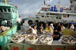 Siêu bão Lekima sắp đổ bộ, Trung Quốc ban hành 'báo động đỏ'