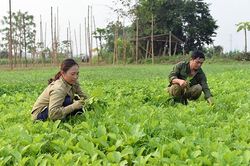 Nỗ lực hoàn thành các chương trình mục tiêu quốc gia
