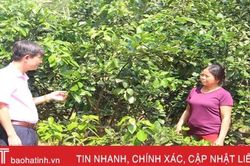 Hà Tĩnh huy động sức mạnh tổng lực dành cho người nghèo