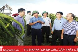 Chánh Văn phòng NTM Trung ương tin Can Lộc sẽ về đích huyện nông thôn mới trước 2020