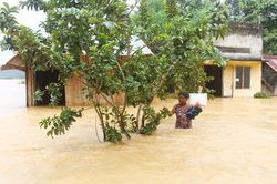 Lũ ngập sâu, hơn 1,7 ngàn hộ dân phải sơ tán khẩn cấp