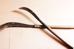 Điều tra nhanh vụ trọng án ở Ninh Hòa