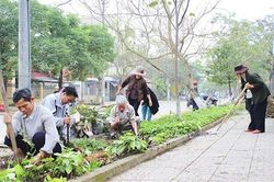 Nhân rộng tuyến phố văn minh đô thị