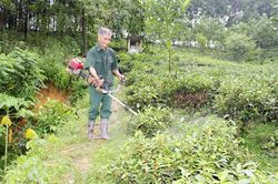 Mái nhà chung của những nạn nhân chất độc da cam