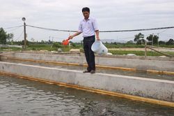 Tăng cường quản lý an toàn thực phẩm thủy sản