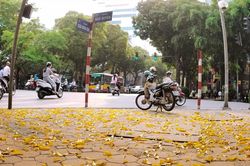 Diễn biến thời tiết thất thường khiến chất lượng không khí Hà Nội giảm