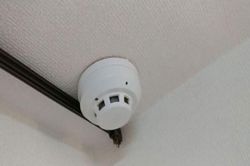 Phát hiện ra thủ phạm lấy mất 'vật nhạy cảm' trong phòng ngủ