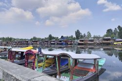 Cuộc sống người dân Kashmir đảo lộn dưới lệnh giới nghiêm