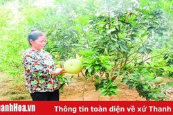 Nghị quyết số 37 - động lực thúc đẩy kinh tế - xã hội miền núi phát triển