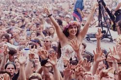 Nhà sản xuất Woodstock 'khá thất vọng' khi không thể tái hiện lễ hội âm nhạc năm 1969