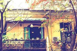 Đi hỏi mùa thu