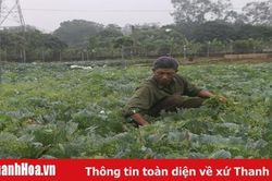 Đảng bộ phường Bắc Sơn phát huy vai trò lãnh đạo trong phát triển kinh tế - xã hội