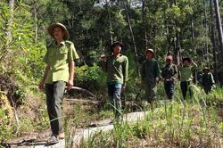 Phát triển bền vững rừng Tây Nguyên