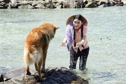 'Đảo khát' gắn kết tình yêu với biển
